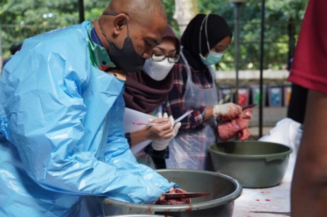  Tim kesehatan hewan DKPP Kota Bandung menyatakan hewan kurban di Rumah Amal Salman bebas Penyakit Mulut dan Kuku (PMK) saat memeriksa hewan kurban di area Masjid Salman ITB. (Foto: Apun).*