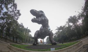 IMG-20260619-WA0019